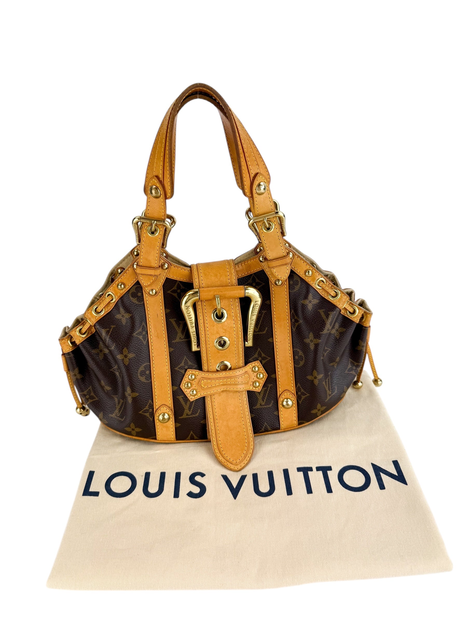 Louis Vuitton Monogram Theda Bag