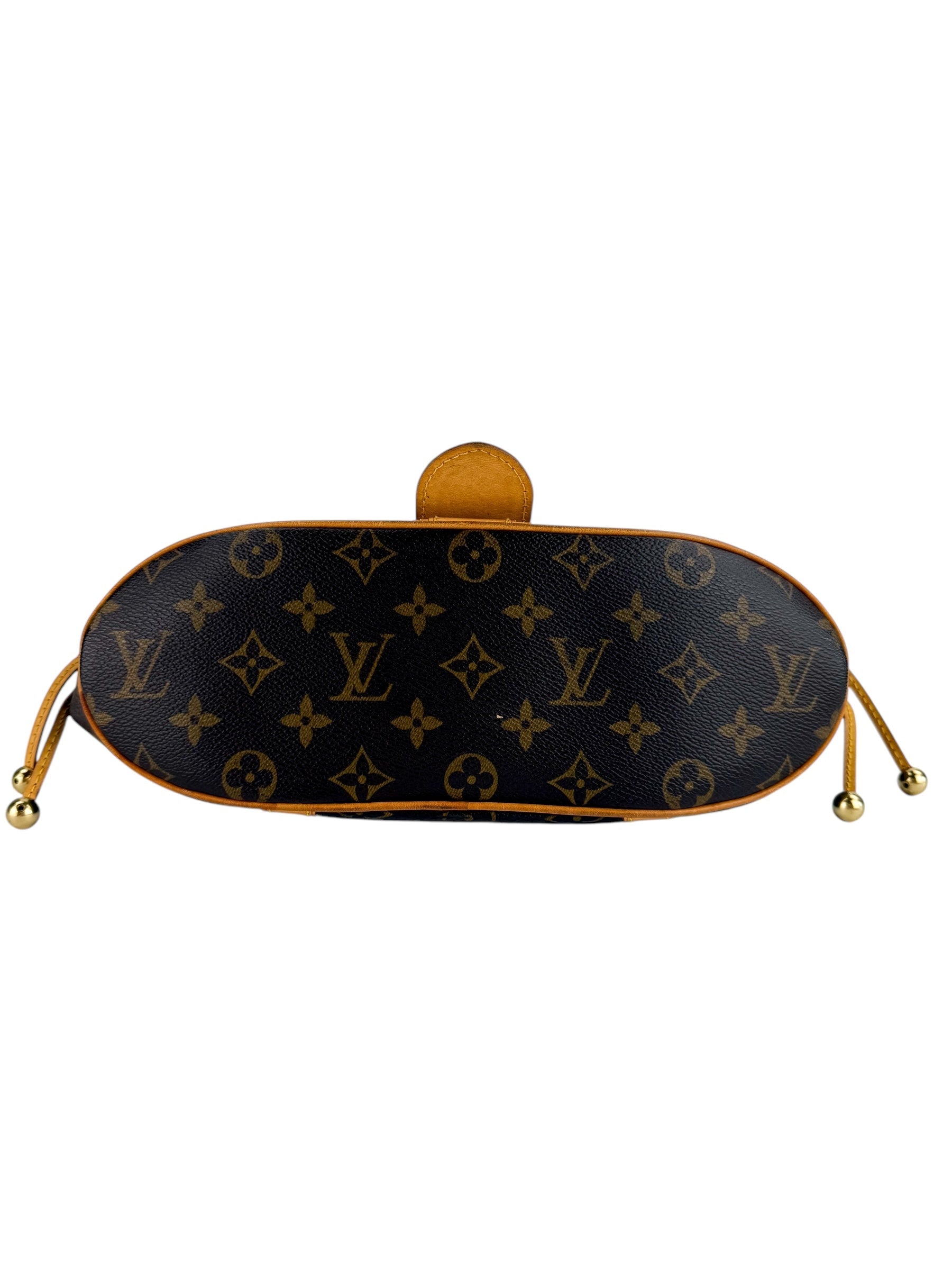 Louis Vuitton Monogram Theda Bag