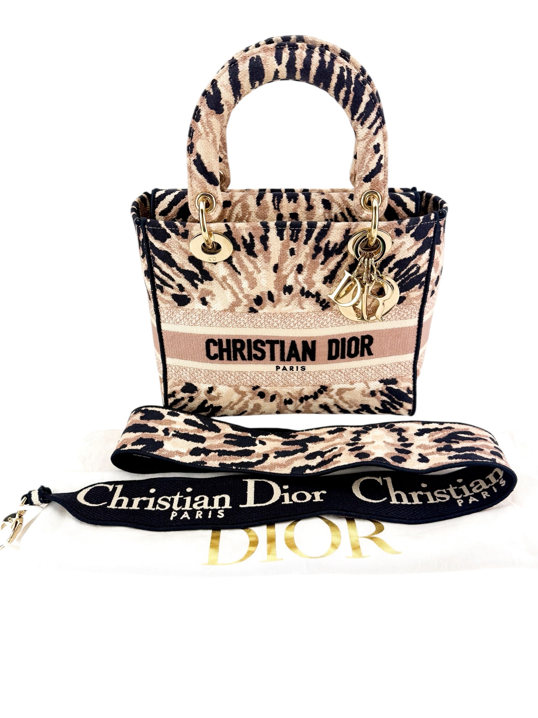 Christian Dior Canvas Embroidered Medium Tie And Dior Lady D-Lite Multicolor