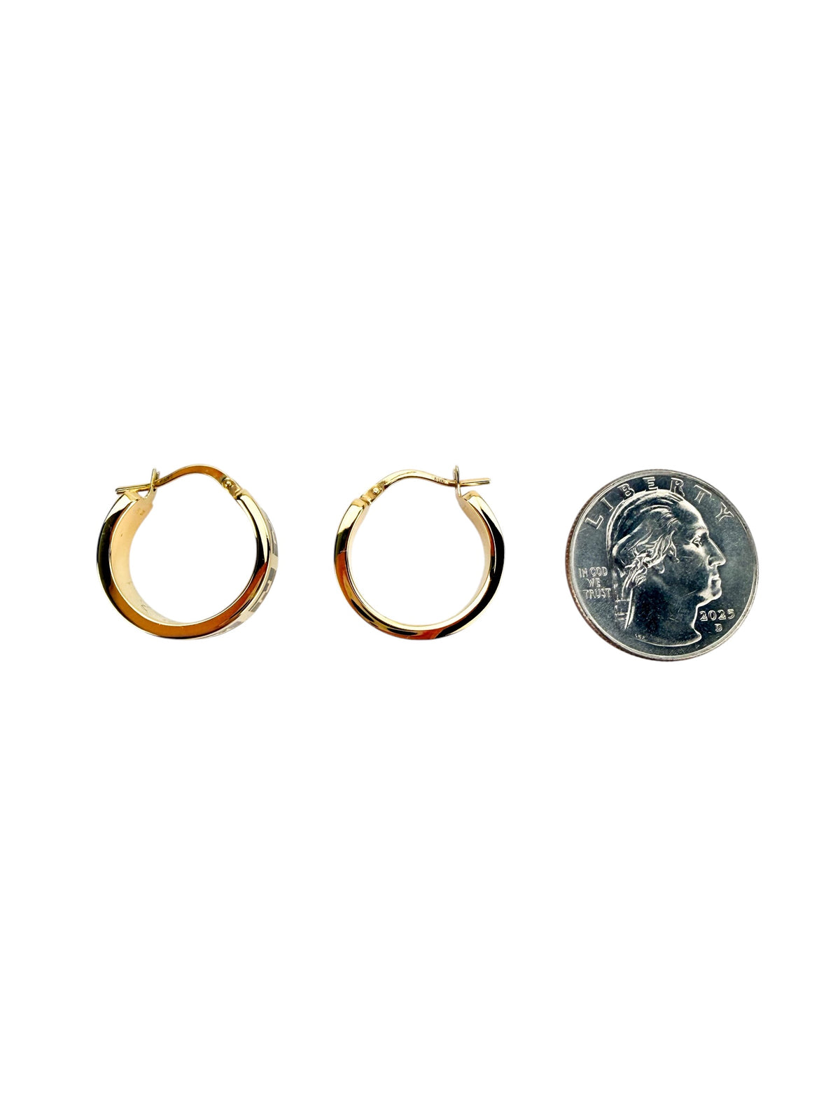 Fendi Forever FF Logo Hoop Earrings (Full Set)