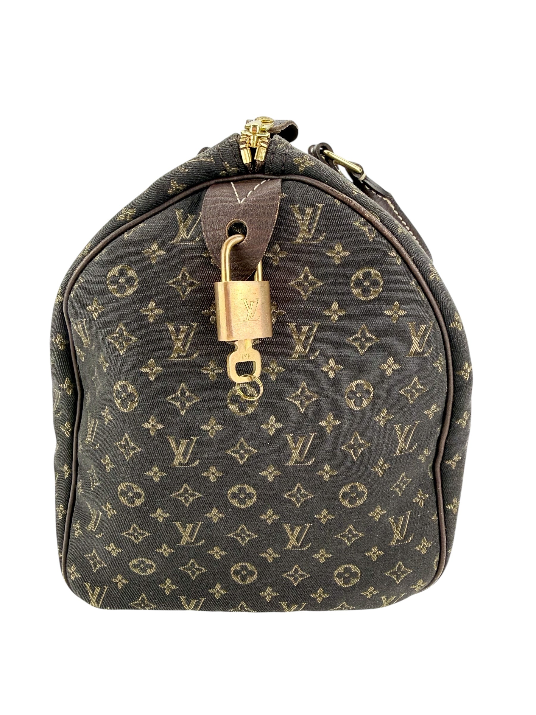 Louis Vuitton Monogram Mini Lin Speedy 30