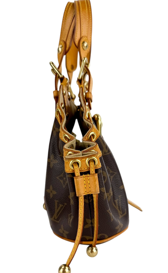 Louis Vuitton Monogram Theda Bag