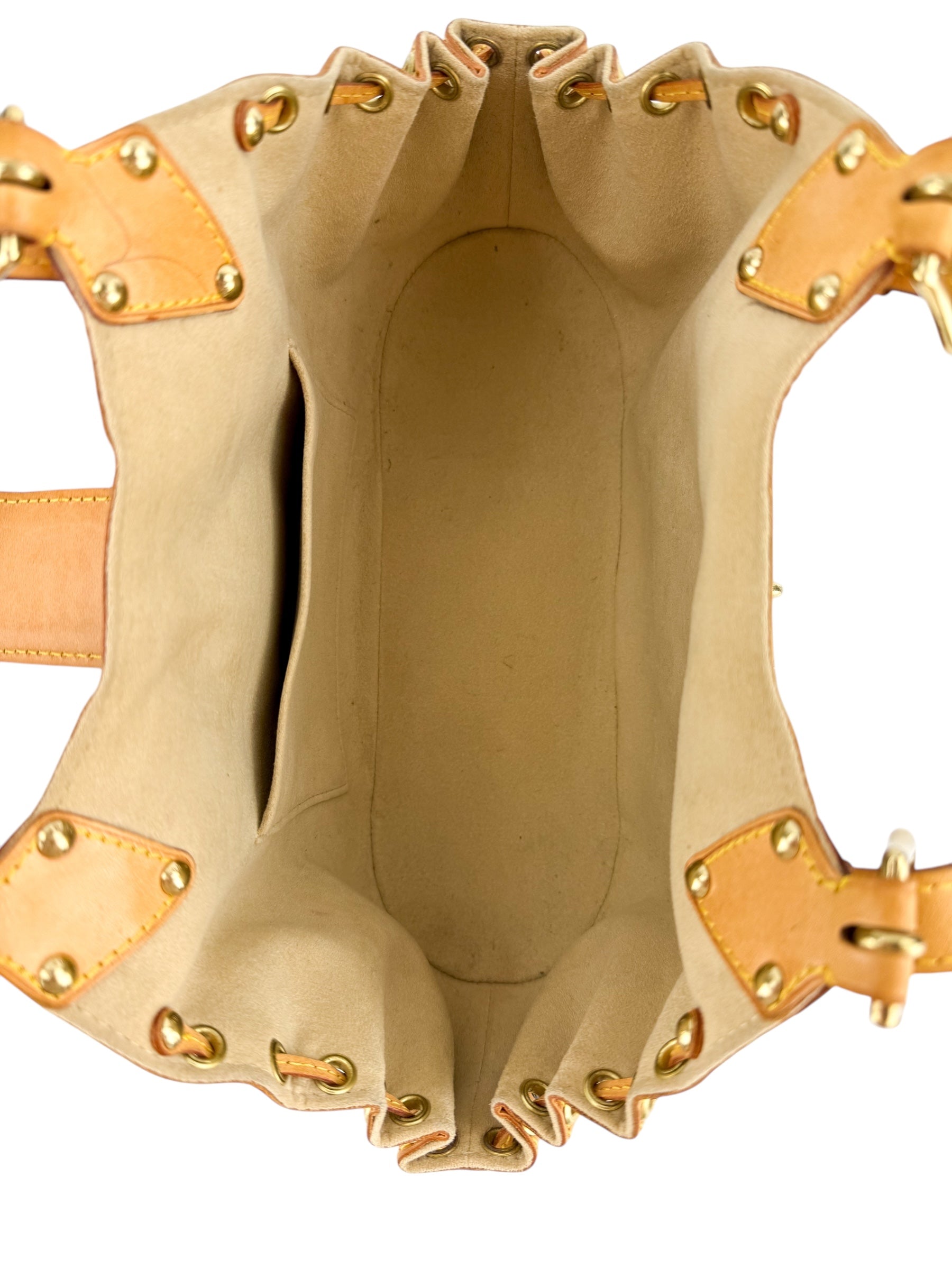 Louis Vuitton Monogram Theda Bag