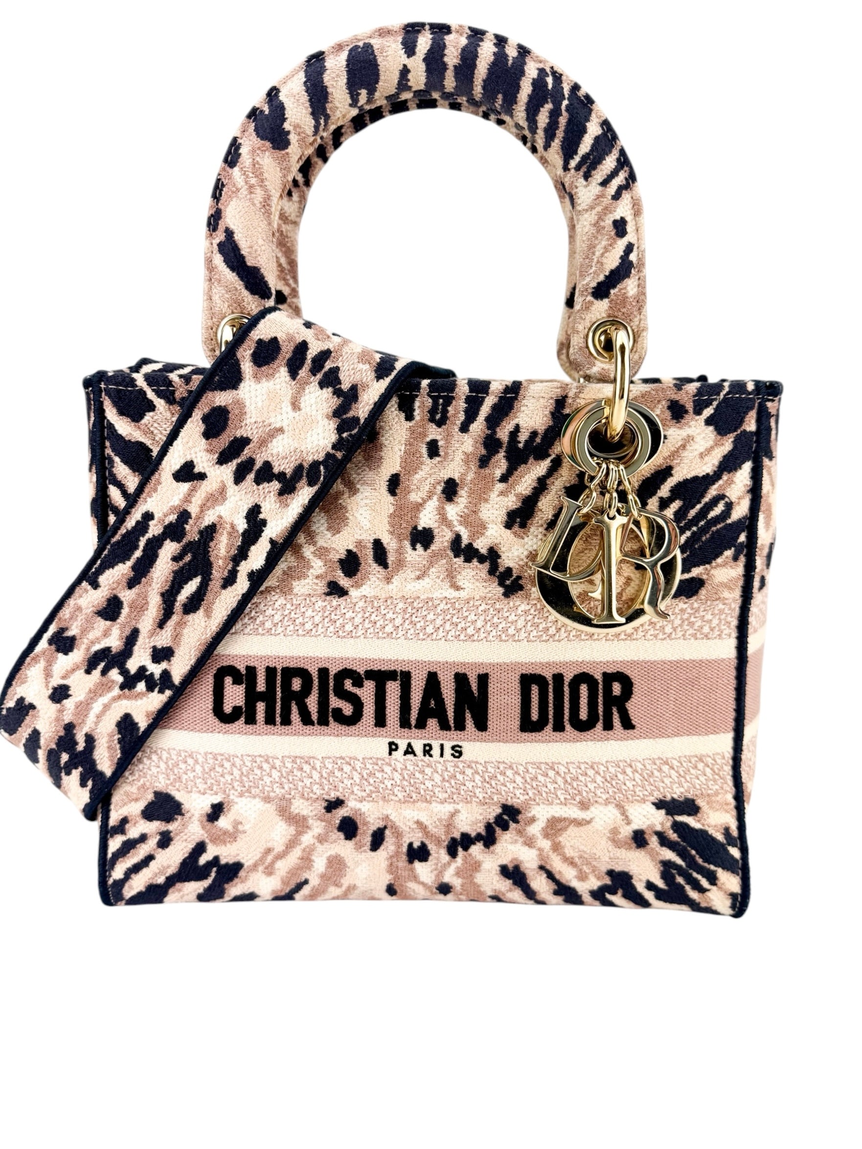 Christian Dior Canvas Embroidered Medium Tie And Dior Lady D-Lite Multicolor