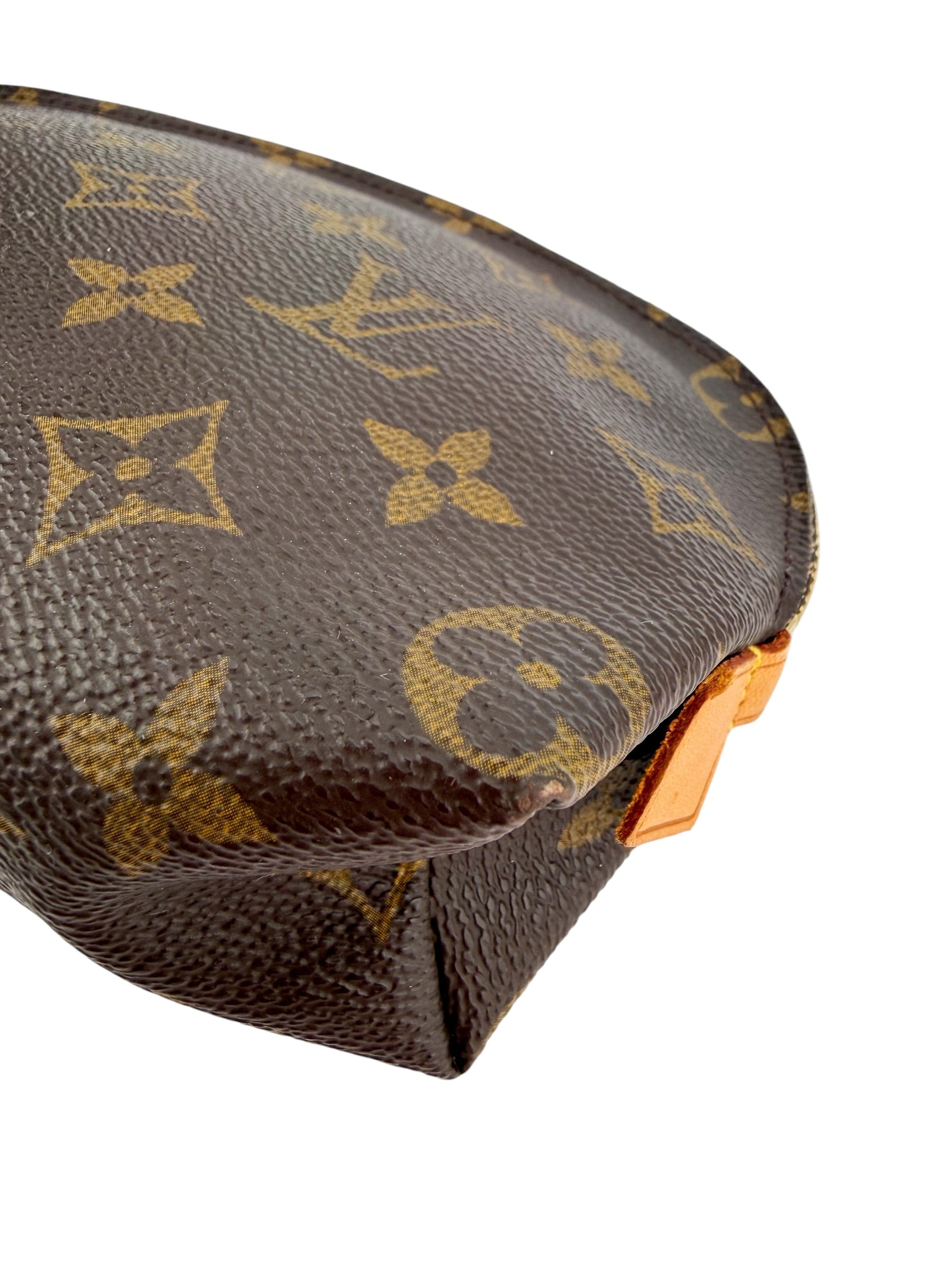 Louis Vuitton Cosmetic Pouch