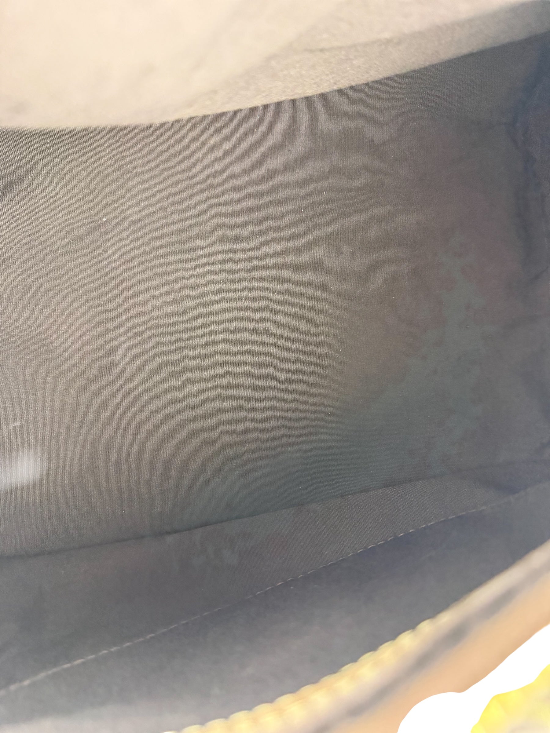 Louis Vuitton Monogram Mini Lin Speedy 30