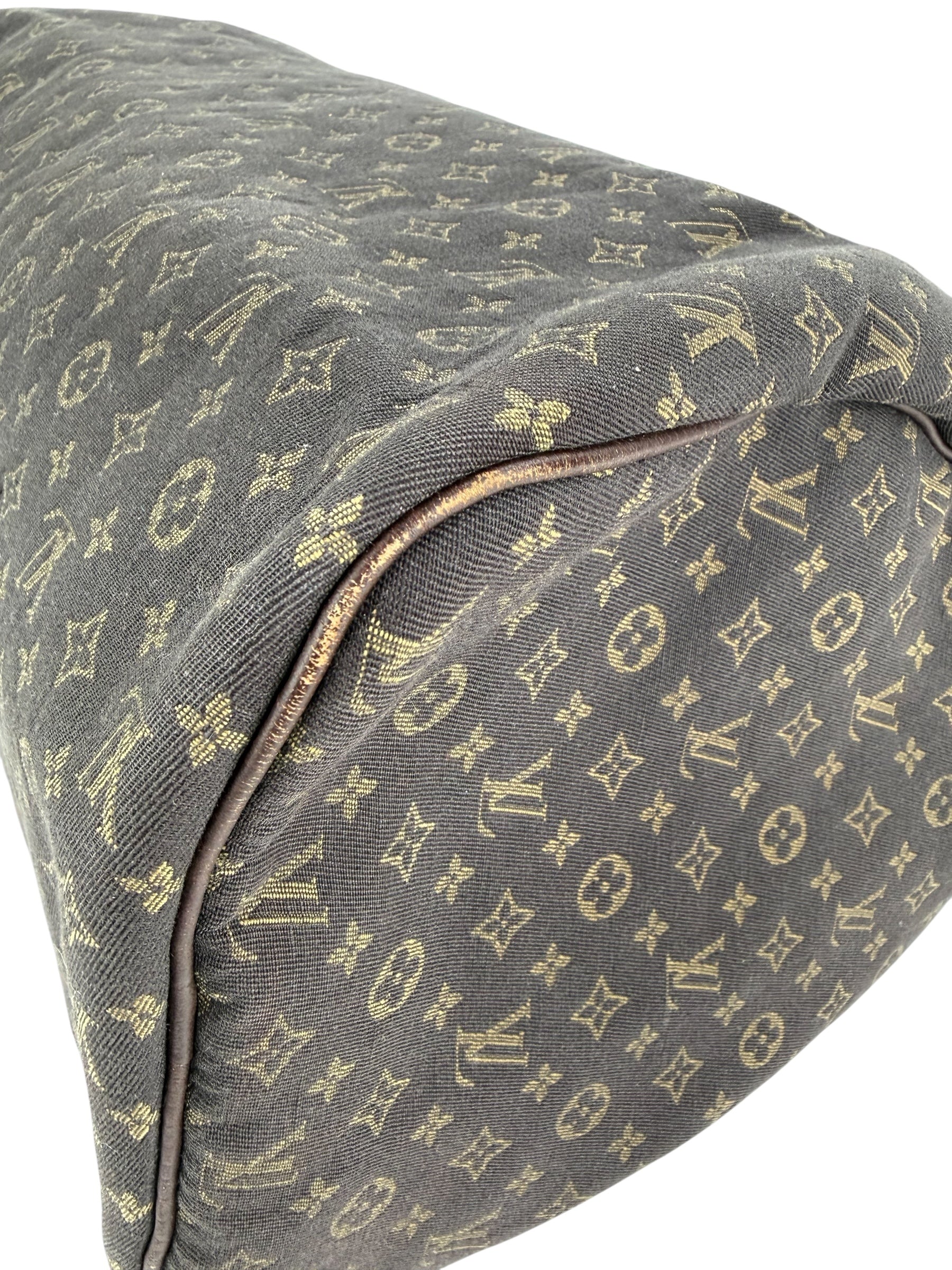Louis Vuitton Monogram Mini Lin Speedy 30