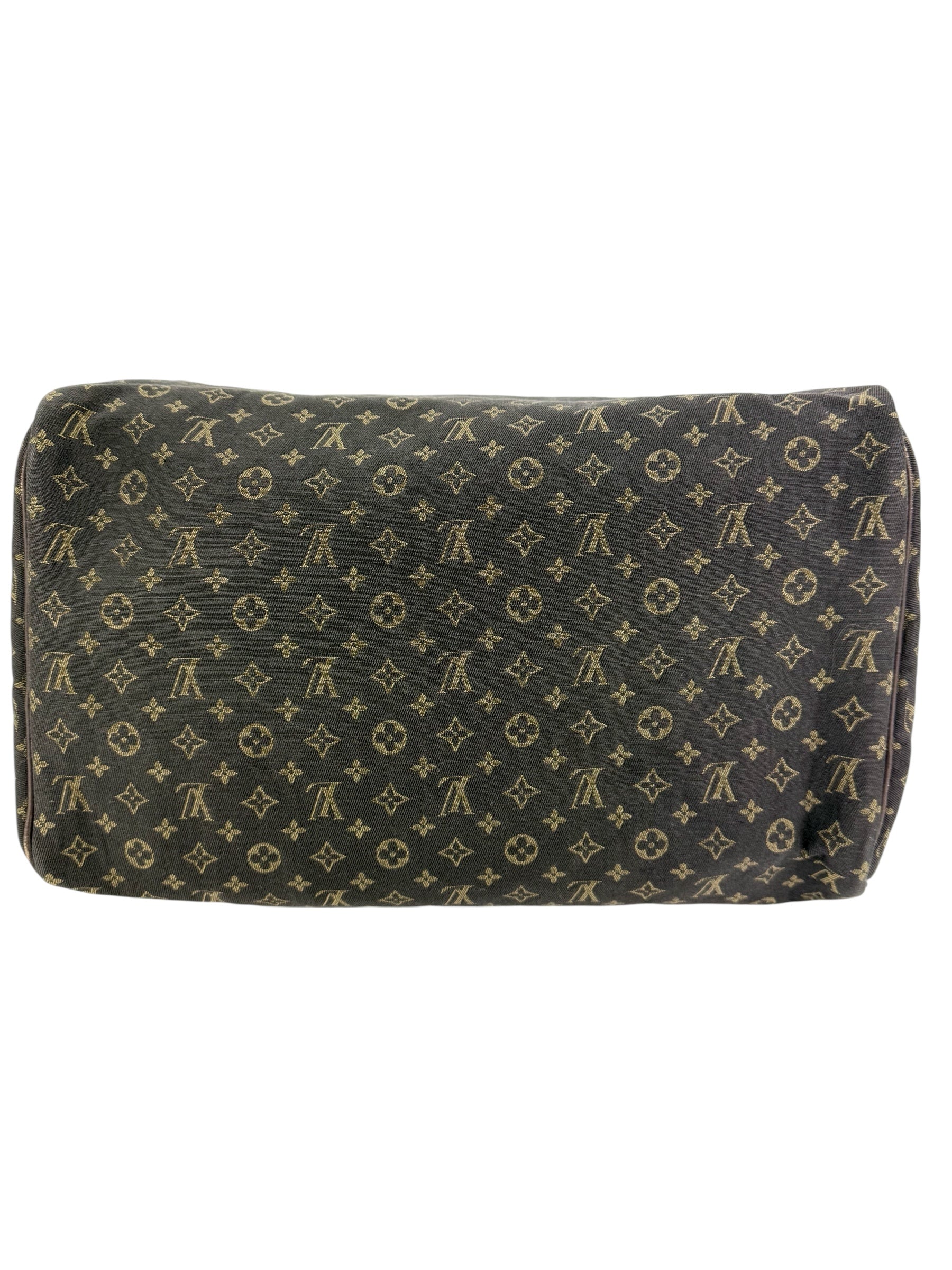 Louis Vuitton Monogram Mini Lin Speedy 30