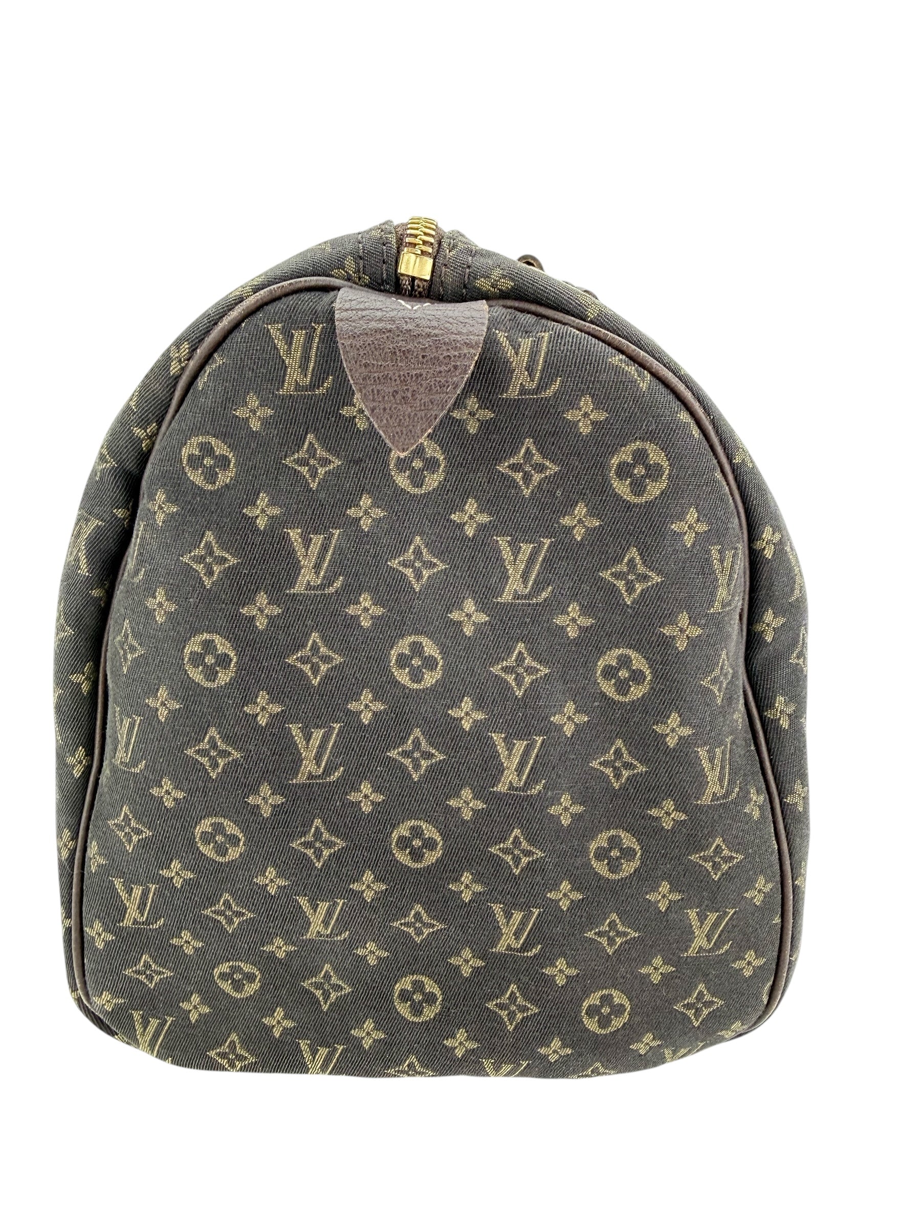 Louis Vuitton Monogram Mini Lin Speedy 30